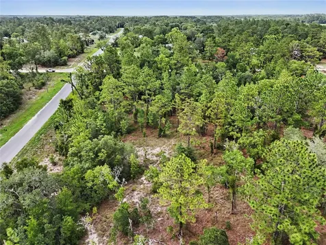 Tbd SE 218th Avenue Morriston FL 32668