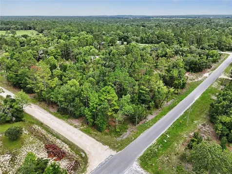 Tbd SE 218th Avenue Morriston FL 32668