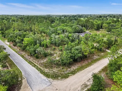 Tbd SE 218th Avenue Morriston FL 32668
