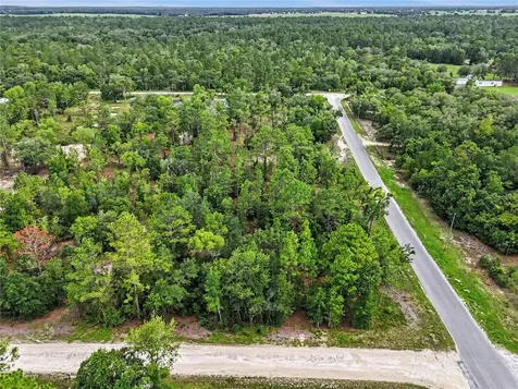 Tbd SE 218th Avenue Morriston FL 32668