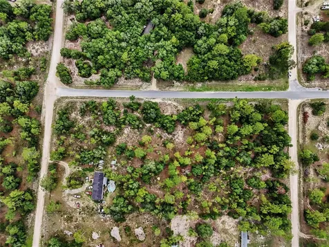 Tbd SE 218th Avenue Morriston FL 32668