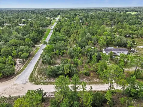 Tbd SE 218th Avenue Morriston FL 32668