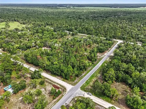 Tbd SE 218th Avenue Morriston FL 32668