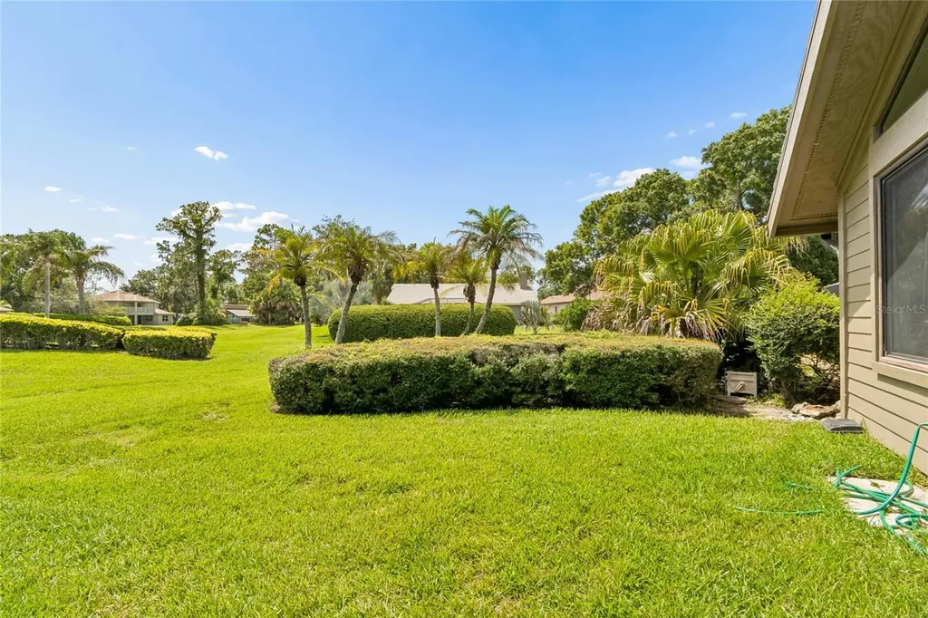 5335 Sand Crane Court Wesley Chapel FL 33543