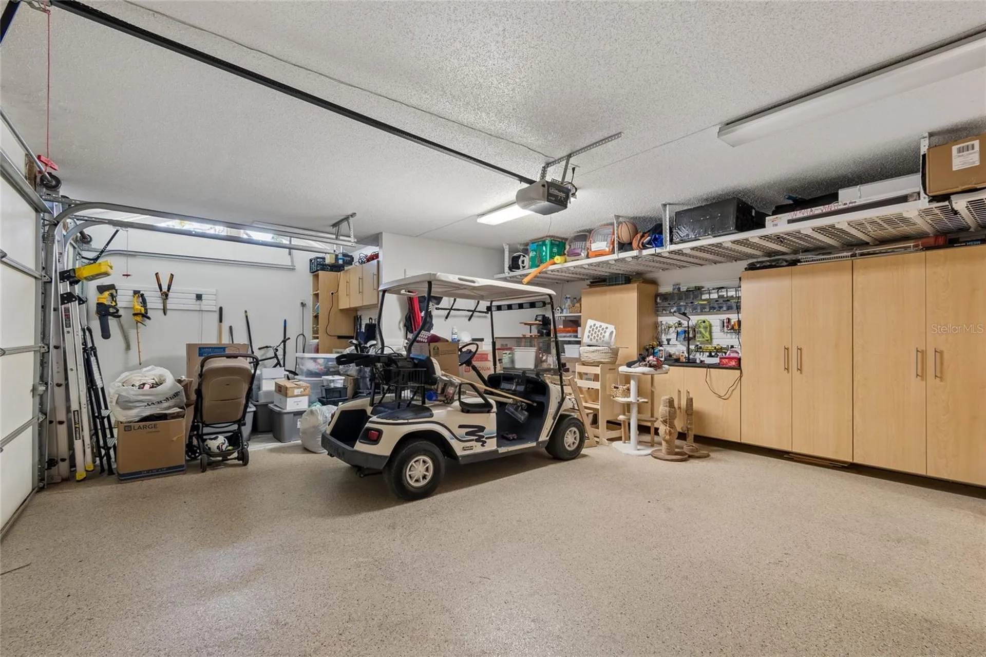 5335 Sand Crane Court Wesley Chapel FL 33543