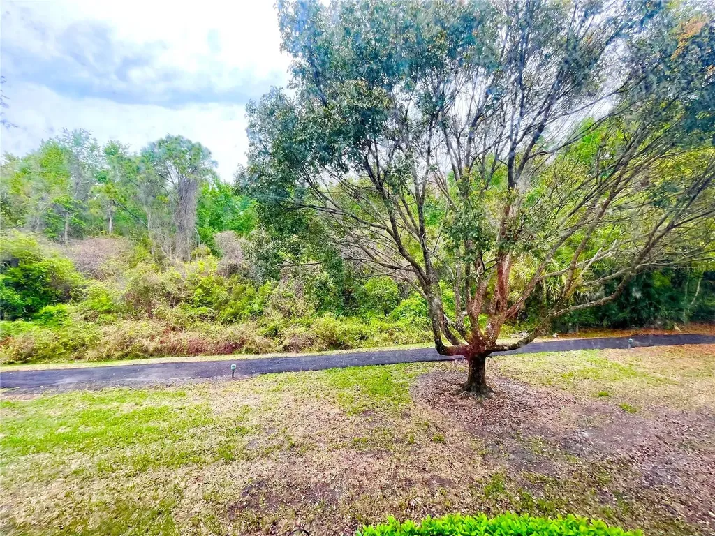 1182 Pine Ridge Circle W Tarpon Springs FL 34688