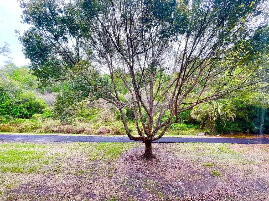 1182 Pine Ridge Circle W Tarpon Springs FL 34688