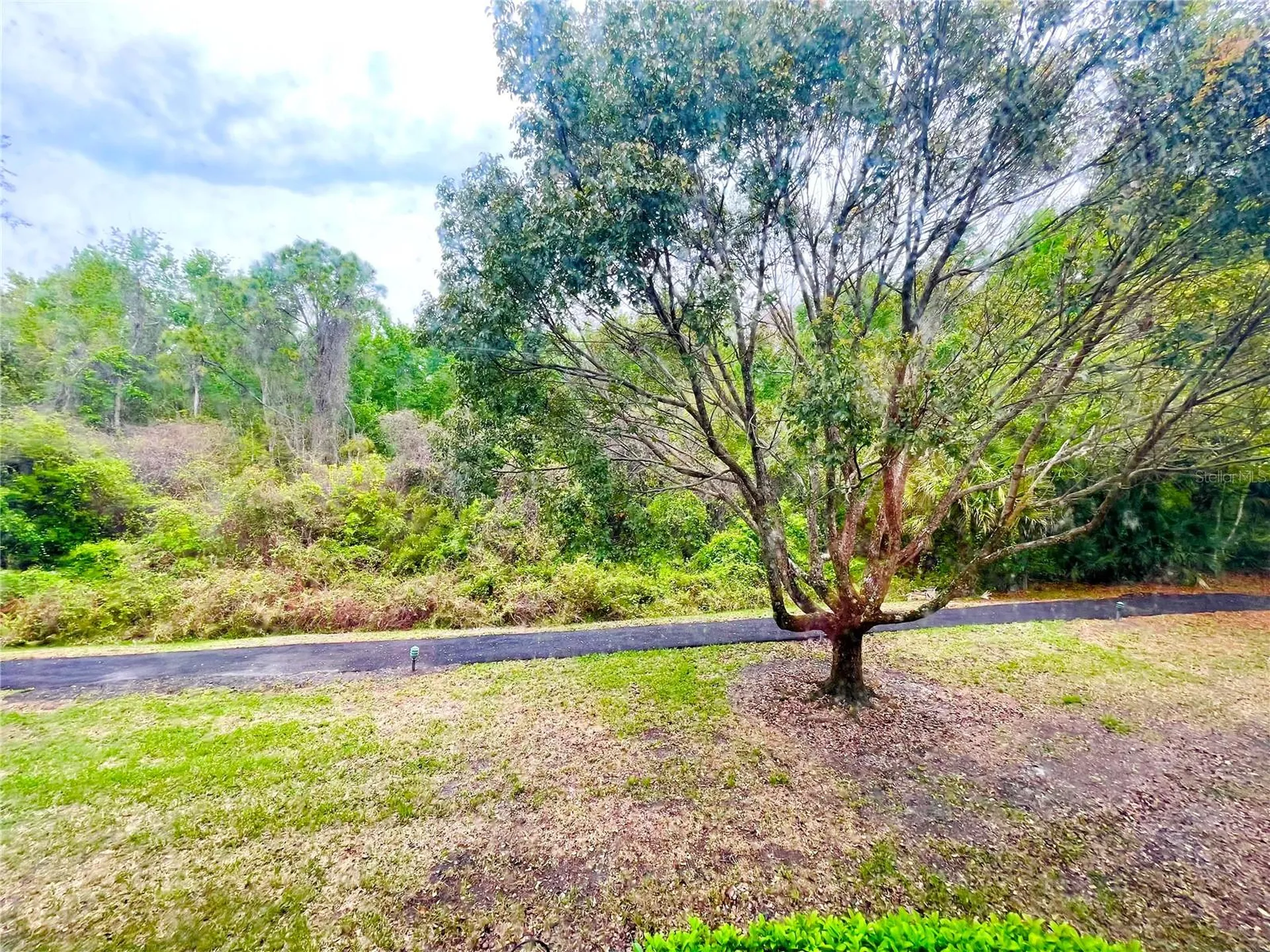 1182 Pine Ridge Circle W Tarpon Springs FL 34688