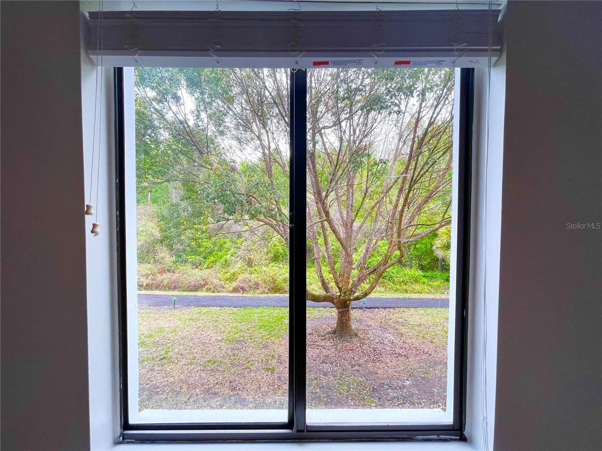 1182 Pine Ridge Circle W Tarpon Springs FL 34688