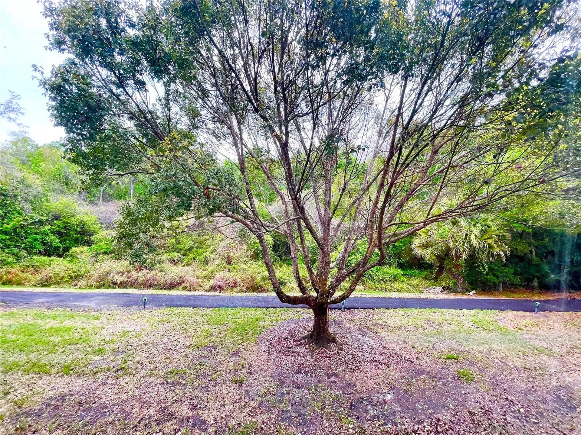 1182 Pine Ridge Circle W Tarpon Springs FL 34688