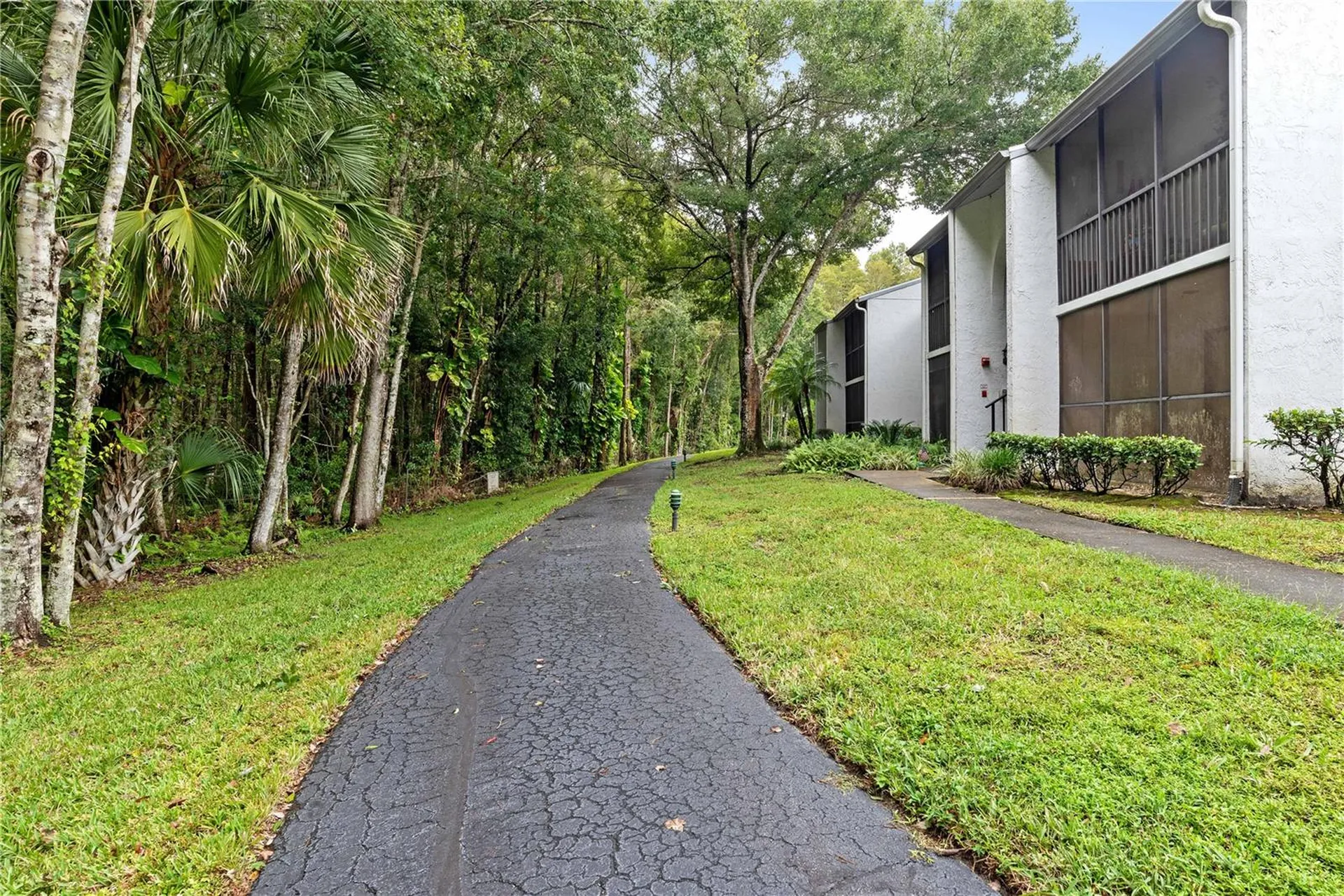 1182 Pine Ridge Circle W Tarpon Springs FL 34688