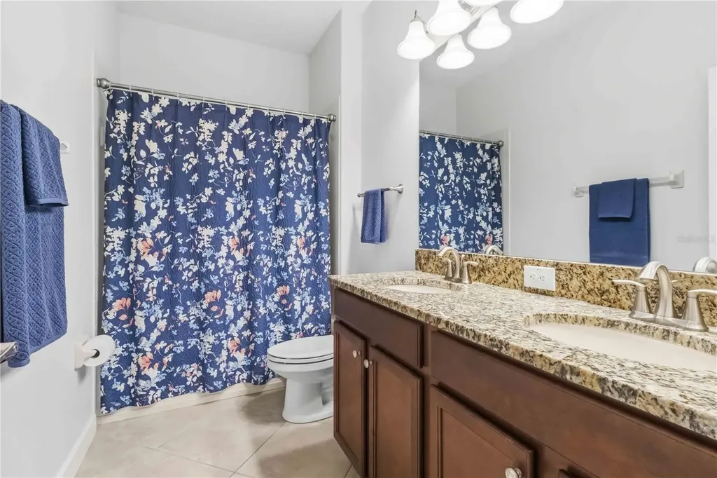 11833 Frost Aster Drive Riverview FL 33579
