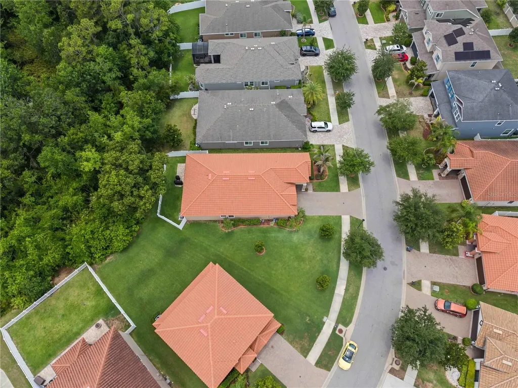 11833 Frost Aster Drive Riverview FL 33579