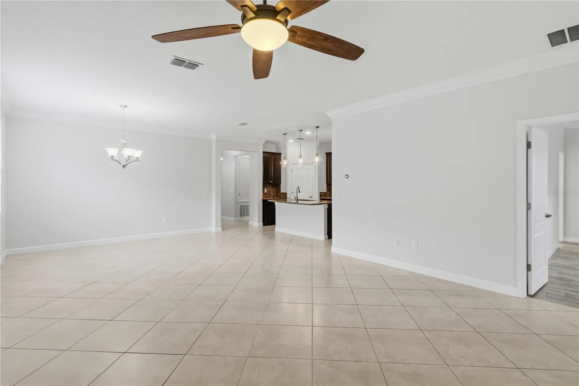 11833 Frost Aster Drive Riverview FL 33579