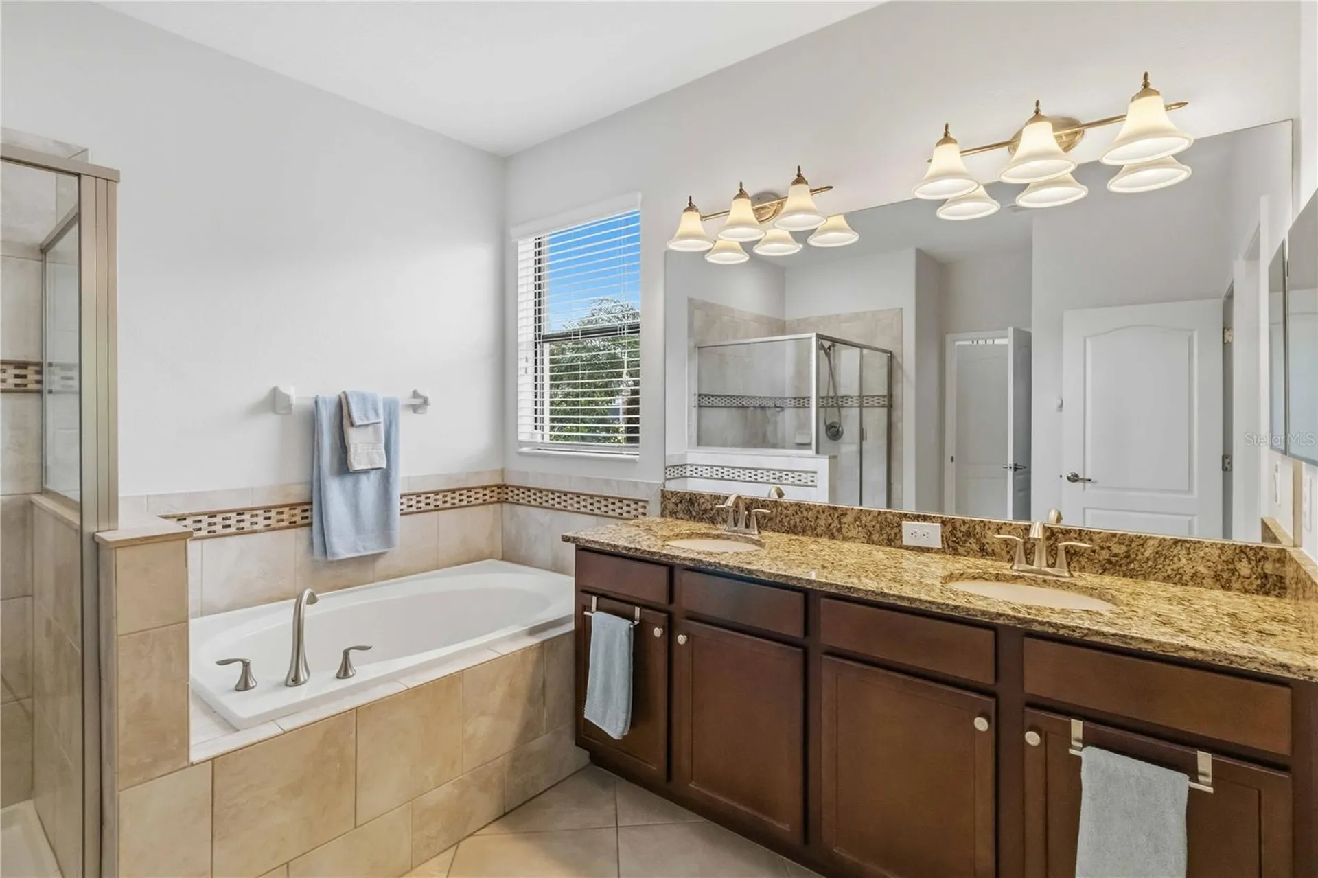 11833 Frost Aster Drive Riverview FL 33579