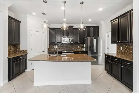 11833 Frost Aster Drive Riverview FL 33579