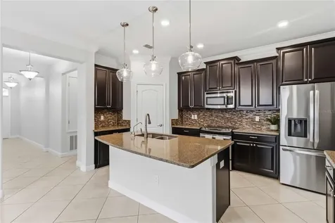 11833 Frost Aster Drive Riverview FL 33579