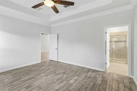 11833 Frost Aster Drive Riverview FL 33579