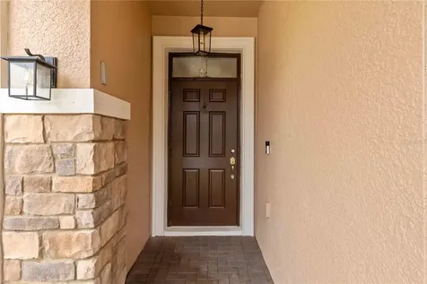 11833 Frost Aster Drive Riverview FL 33579