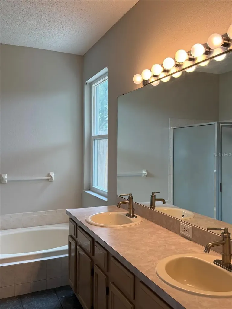 919 Grand Canyon Drive Valrico FL 33594