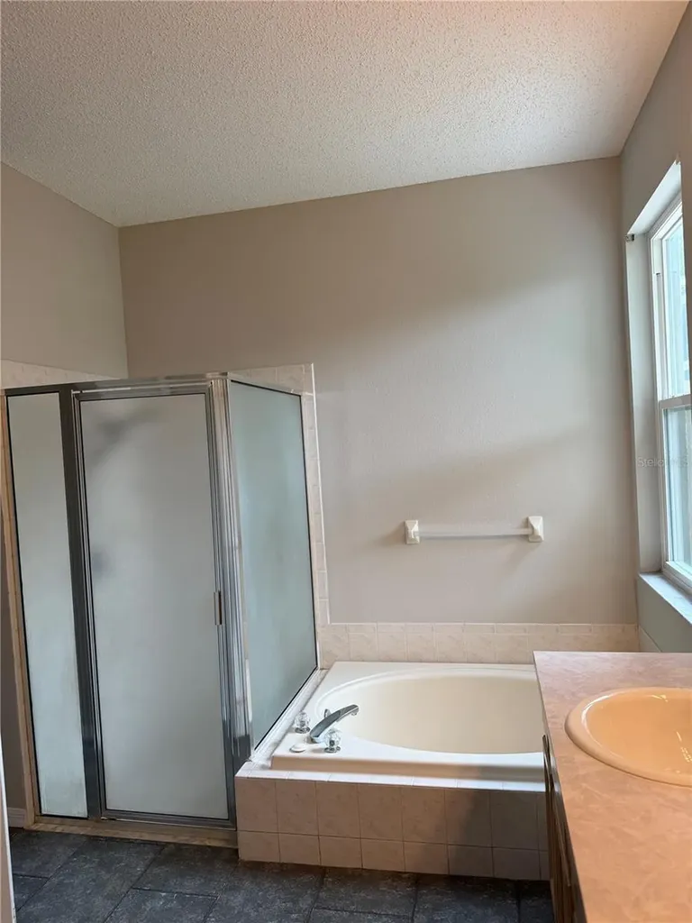 919 Grand Canyon Drive Valrico FL 33594