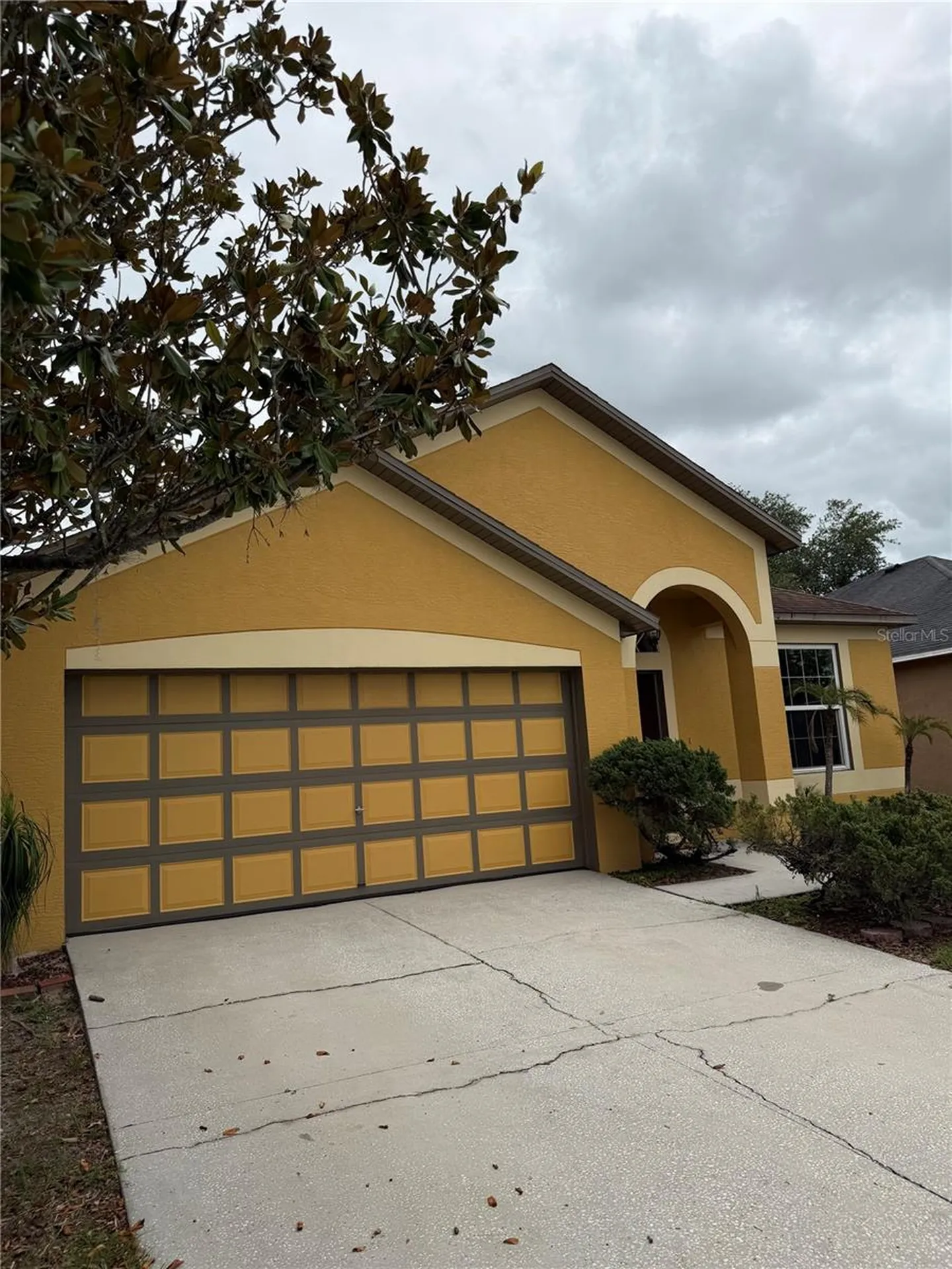 919 Grand Canyon Drive Valrico FL 33594