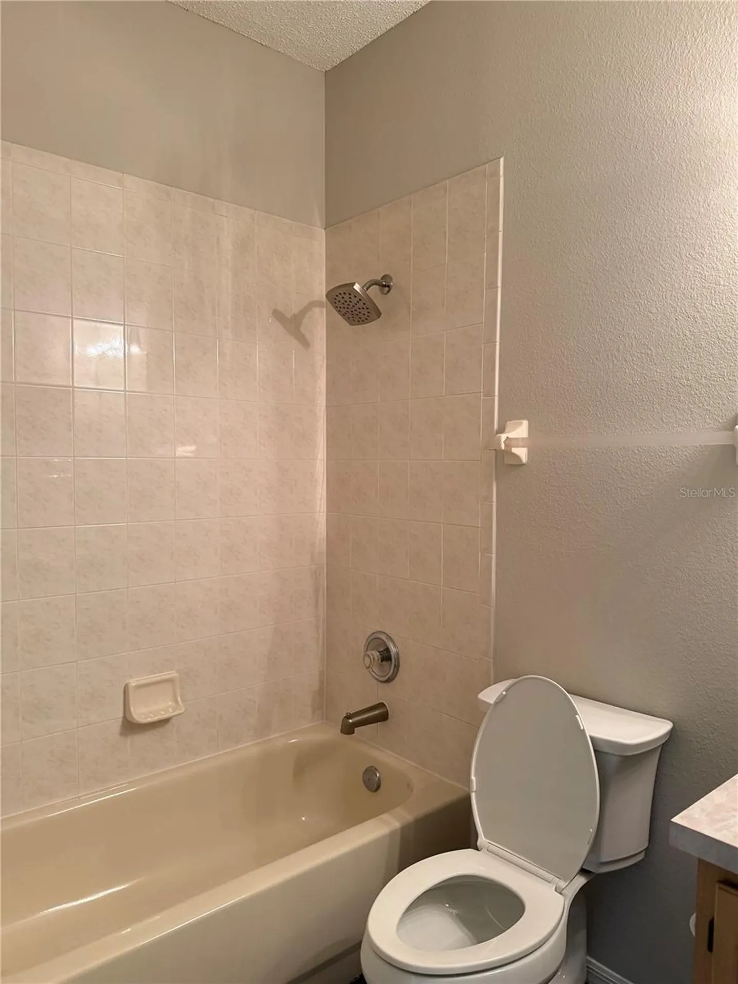 919 Grand Canyon Drive Valrico FL 33594