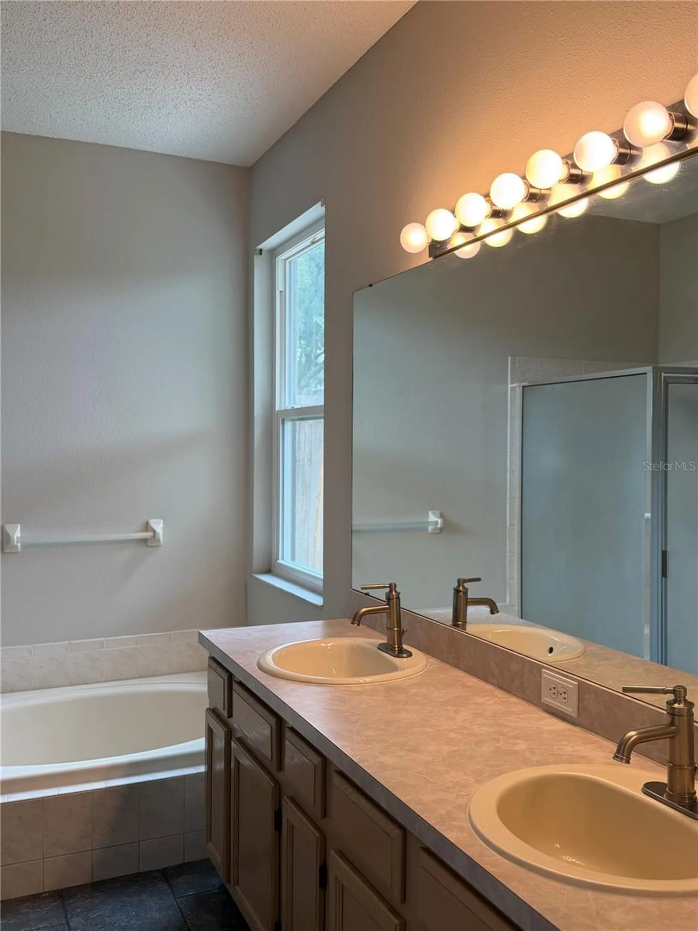 919 Grand Canyon Drive Valrico FL 33594