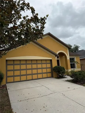 919 Grand Canyon Drive Valrico FL 33594