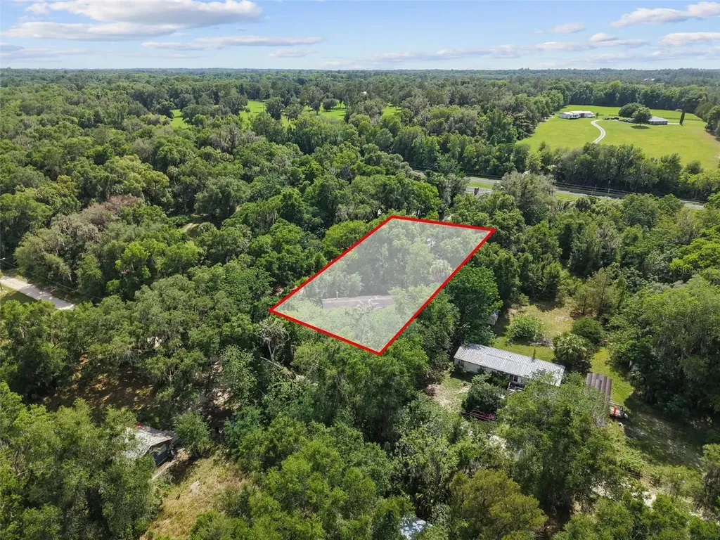 21390 NW 59th Avenue Micanopy FL 32667