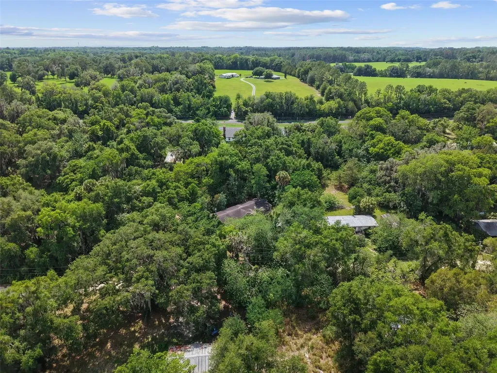 21390 NW 59th Avenue Micanopy FL 32667