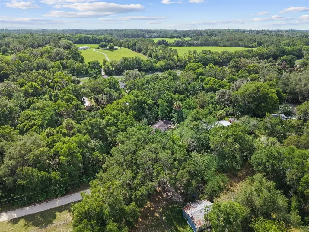 21390 NW 59th Avenue Micanopy FL 32667