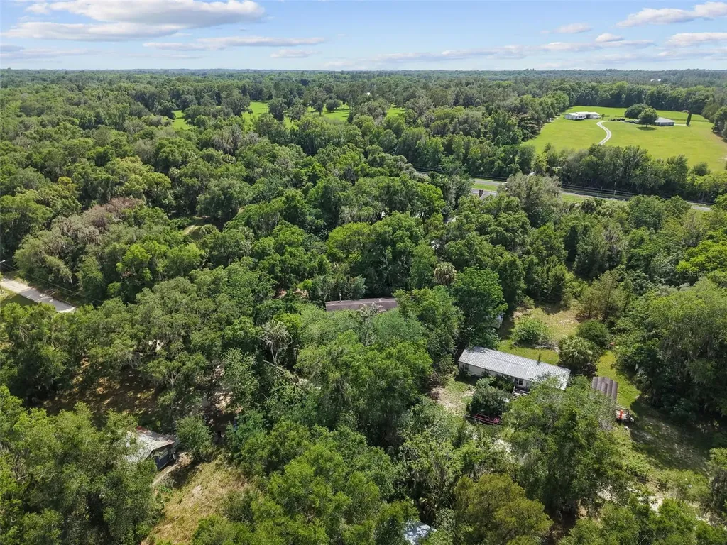 21390 NW 59th Avenue Micanopy FL 32667