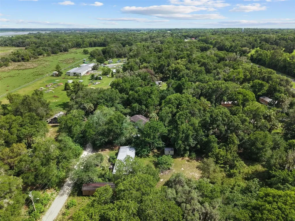21390 NW 59th Avenue Micanopy FL 32667