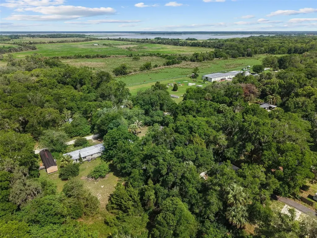 21390 NW 59th Avenue Micanopy FL 32667