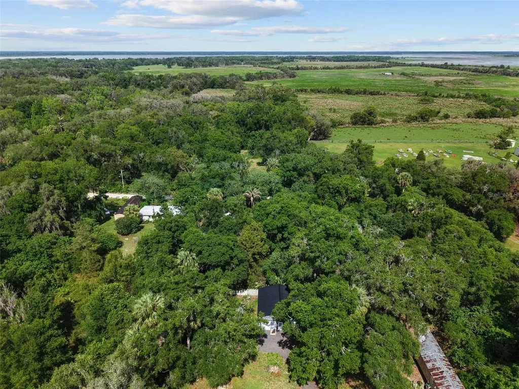 21390 NW 59th Avenue Micanopy FL 32667