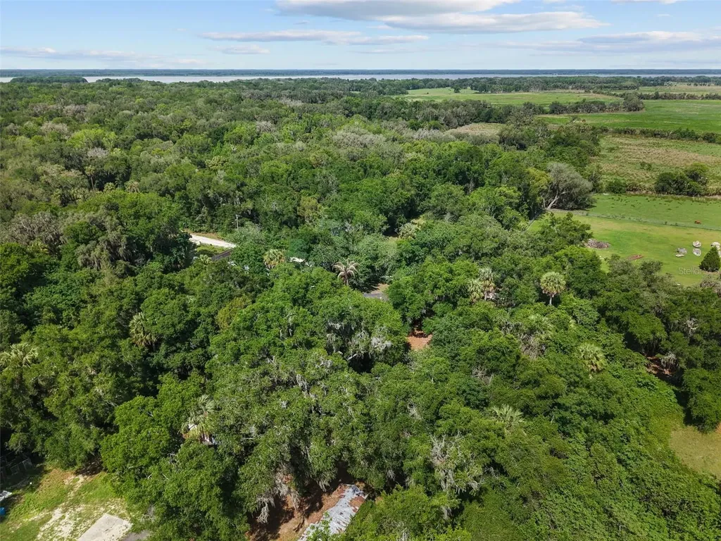 21390 NW 59th Avenue Micanopy FL 32667