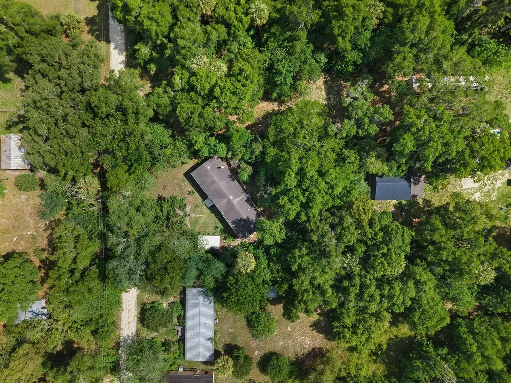 21390 NW 59th Avenue Micanopy FL 32667