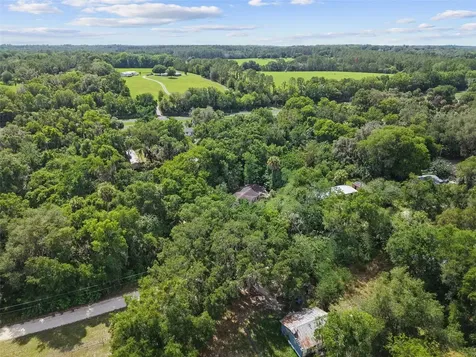 21390 NW 59th Avenue Micanopy FL 32667