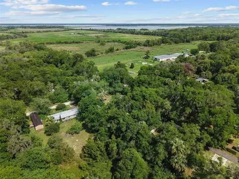 21390 NW 59th Avenue Micanopy FL 32667