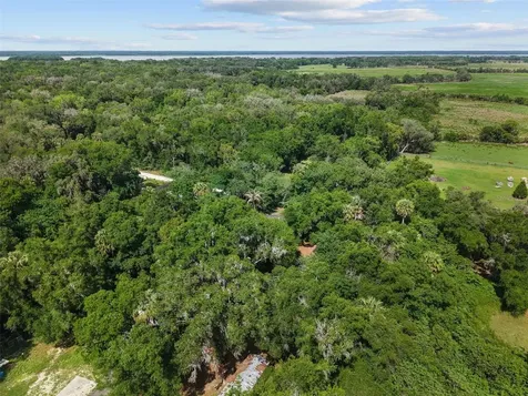21390 NW 59th Avenue Micanopy FL 32667