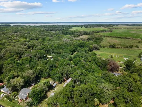 21390 NW 59th Avenue Micanopy FL 32667
