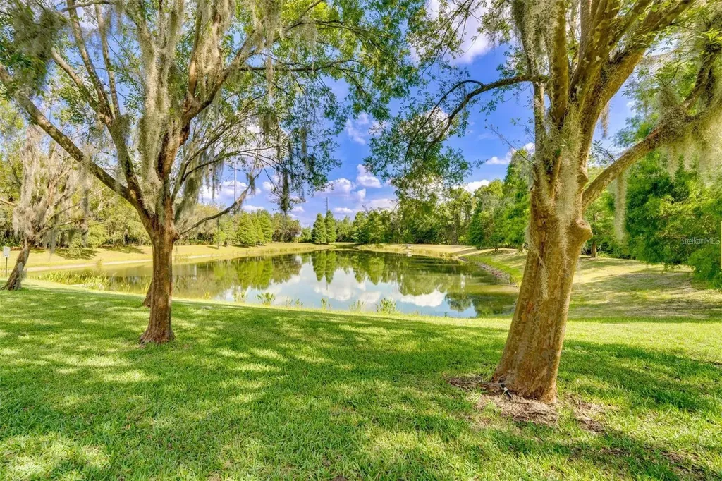 8515 Crystal Cove Loop Kissimmee FL 34747