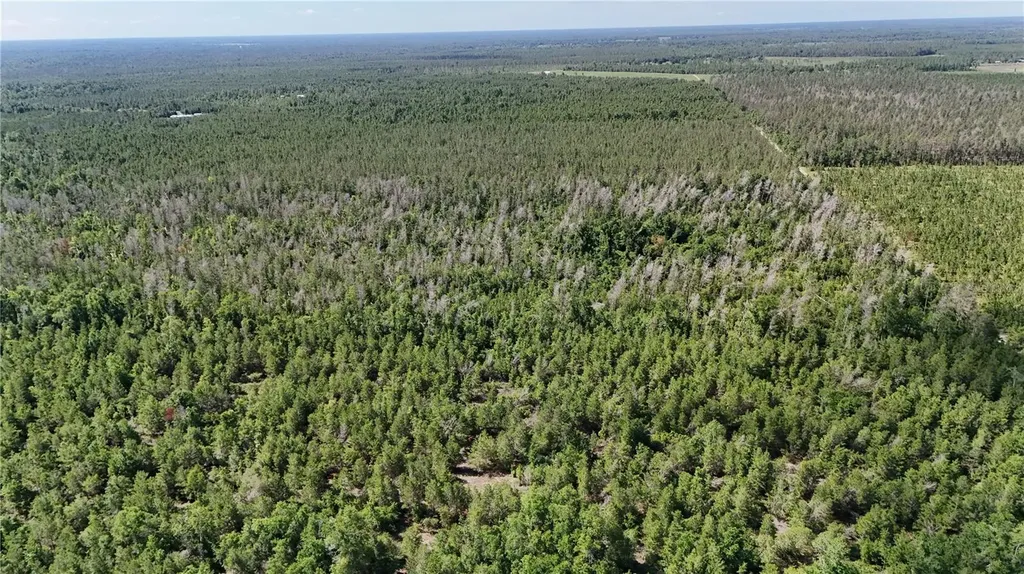 Union Way Lee FL 32059