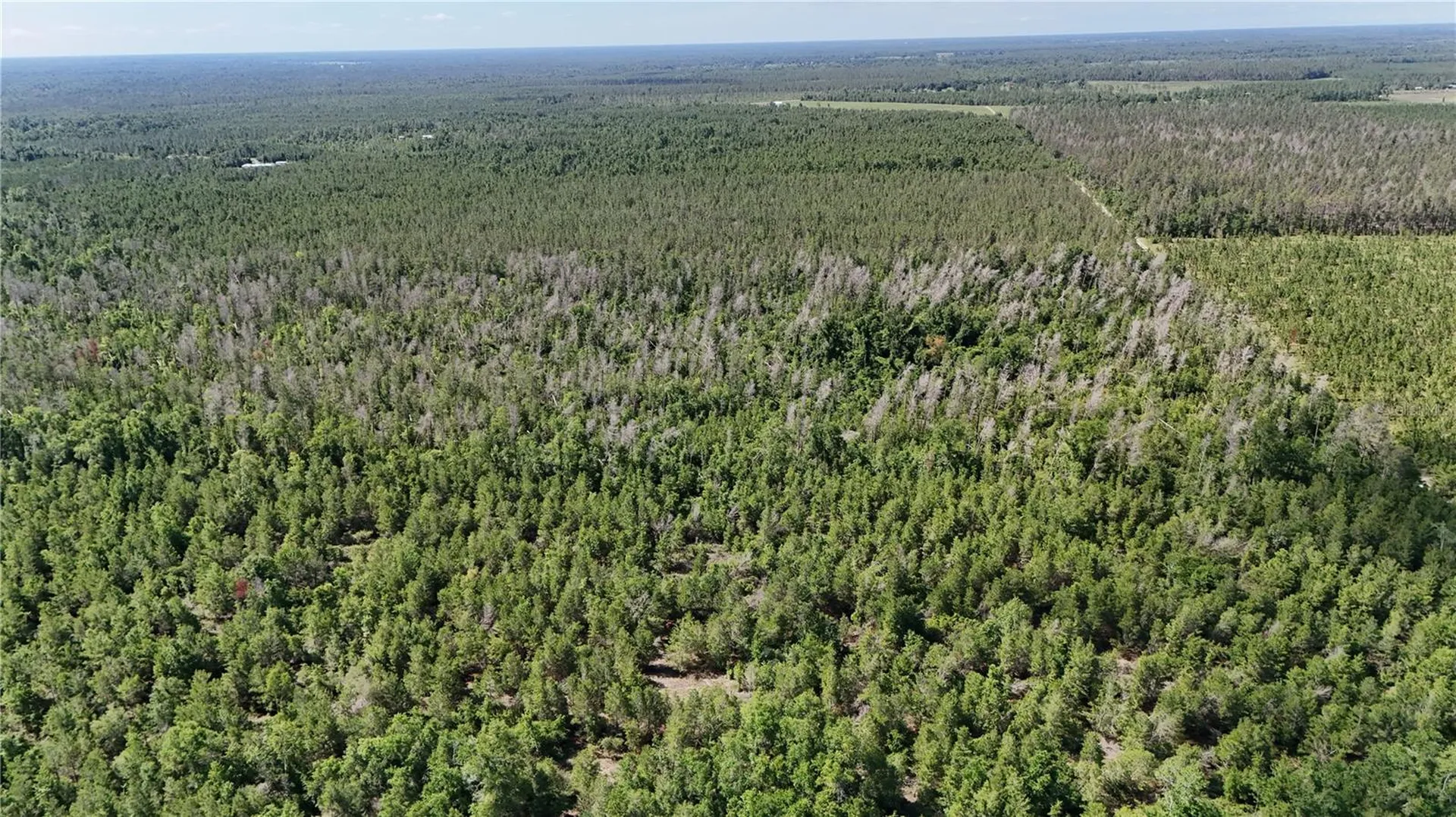 Union Way Lee FL 32059