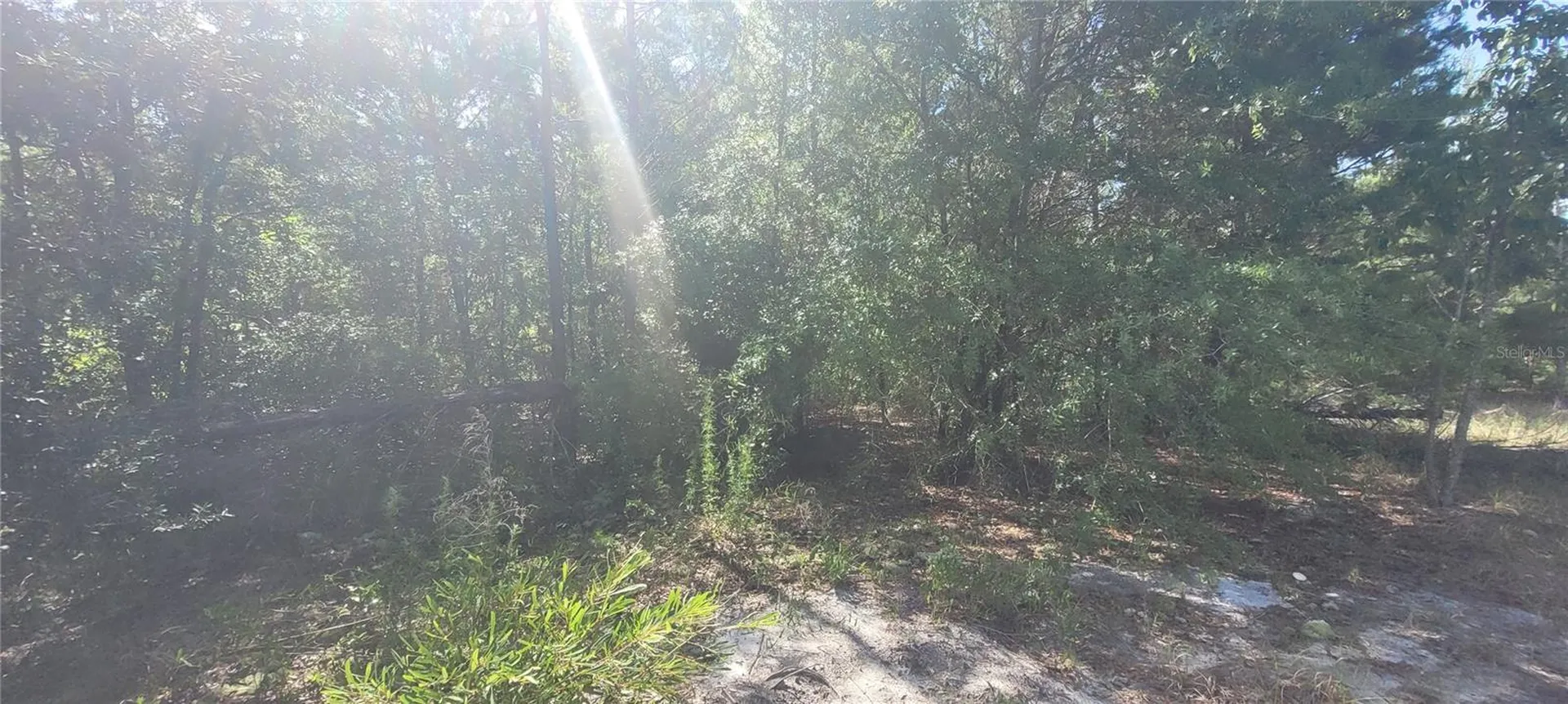 Union Way Lee FL 32059