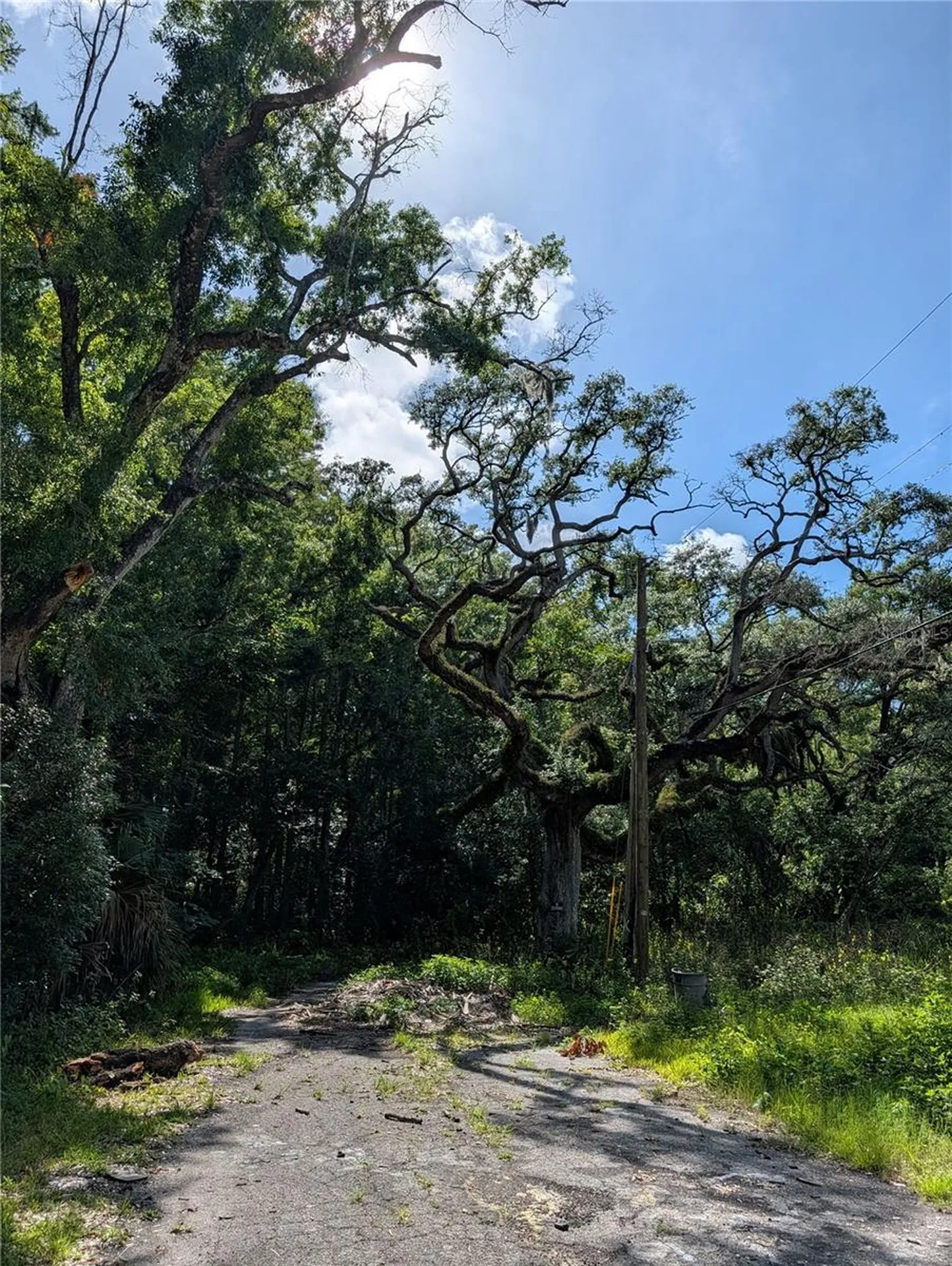 Tbd Kiowa New Port Richey FL 34654