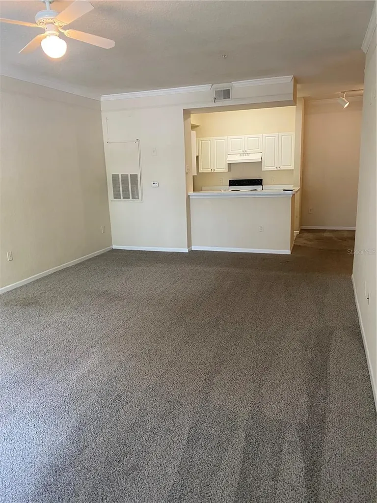 17110 Carrington Park Drive Tampa FL 33647
