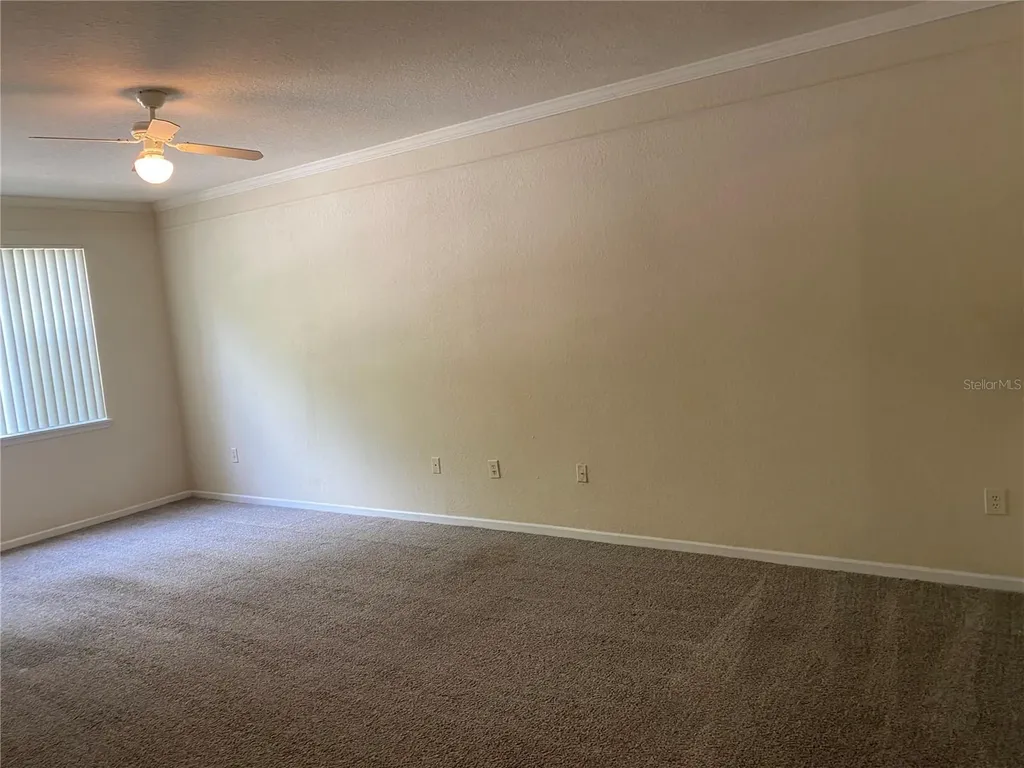 17110 Carrington Park Drive Tampa FL 33647