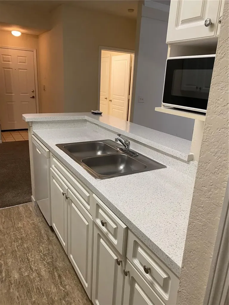 17110 Carrington Park Drive Tampa FL 33647